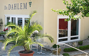 >DR. DAHLEM
